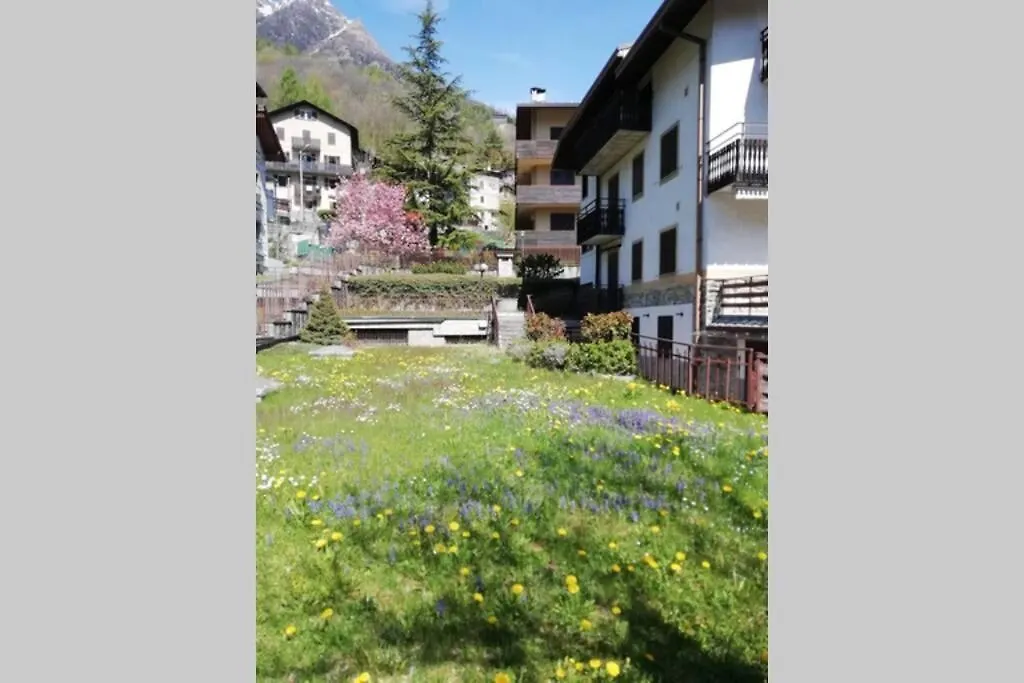 Ferrari'S: Bright Apartment With Magnificent View Chiesa in Valmalenco